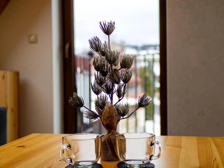 Villa Taternik - 5 Bedrooms Apartment - Mountain View Zakopane